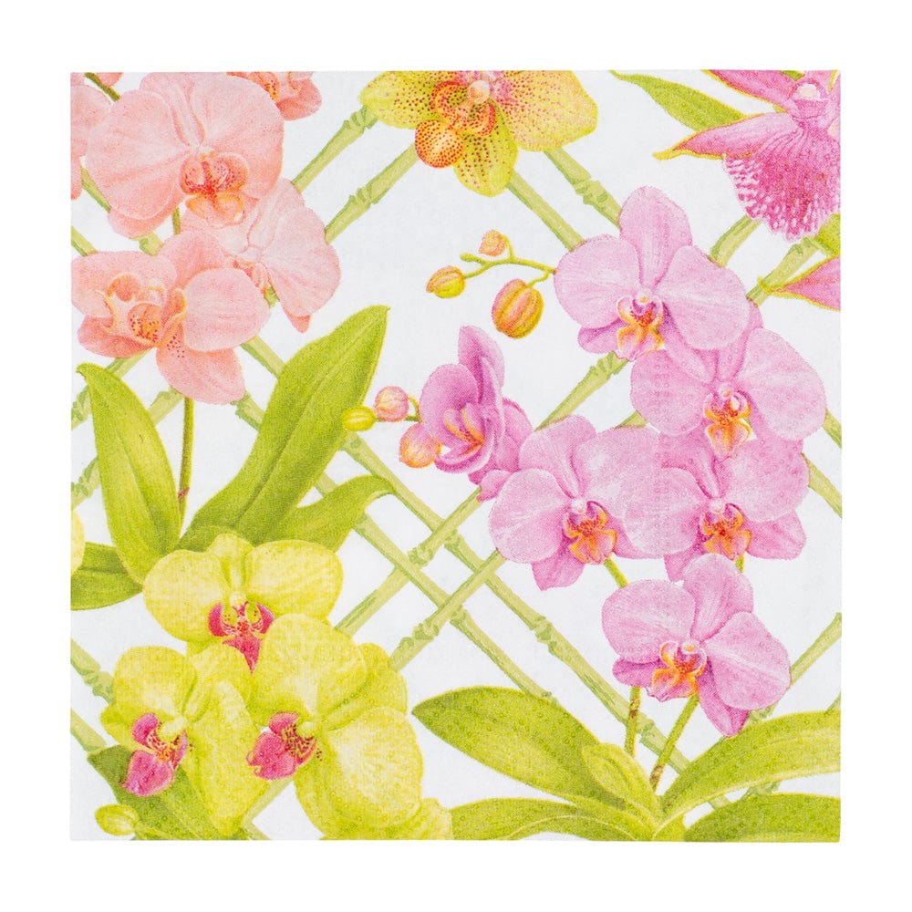 Caspari 18370 Orchid Conservatory Paper Goods