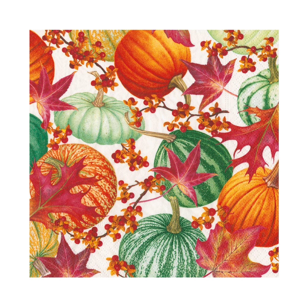Caspari 18790 Gourds and Leaves Napkins