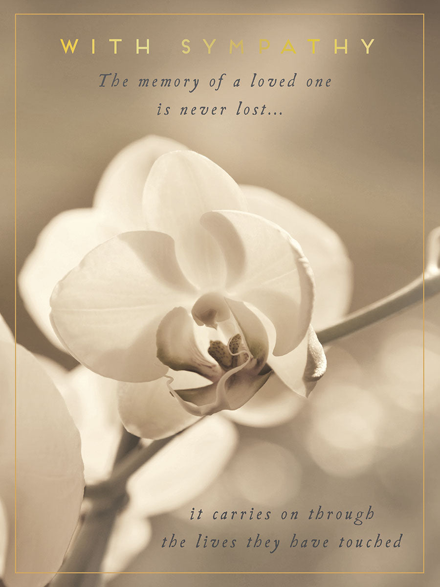 Leanin' Tree SYG50083301 Sympathy Card