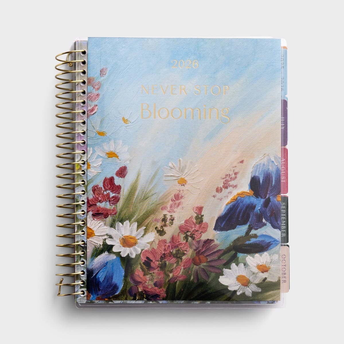 Dayspring 18-Month Agenda July 2025-December 2026