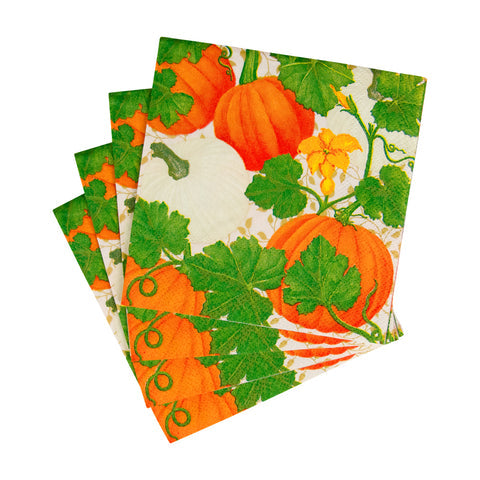 Caspari 18260 Pumpkin Chintz White Napkins