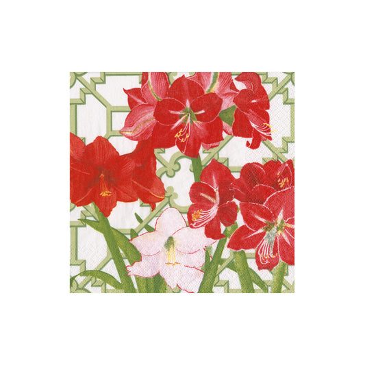 Caspari 18690 Amaryllis Conservatory Napkins