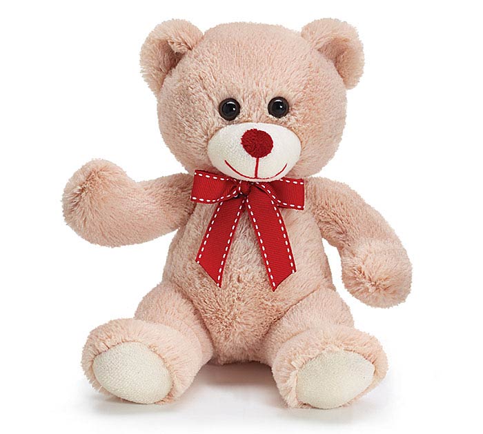 Burton & Burton Plush Valentine Bear - 7"