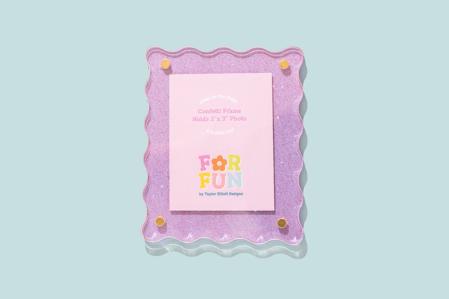 Taylor Elliott FF-F07 For Fun 2 x 3 Magnetic Frame