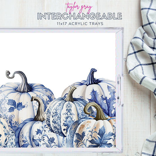 Taylor Gray INS33 11 x 17 Acrylic Tray Interchangeable Inserts All Year Long Volume 2 - Set of 12