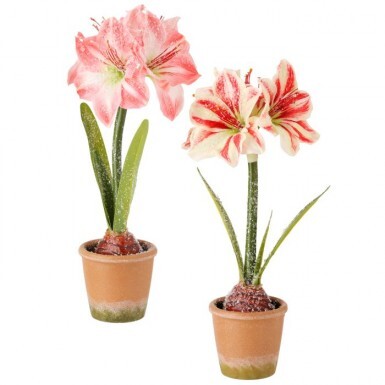 Regency International MTX73769 Frosted Potted Mini Amarylis - 15"