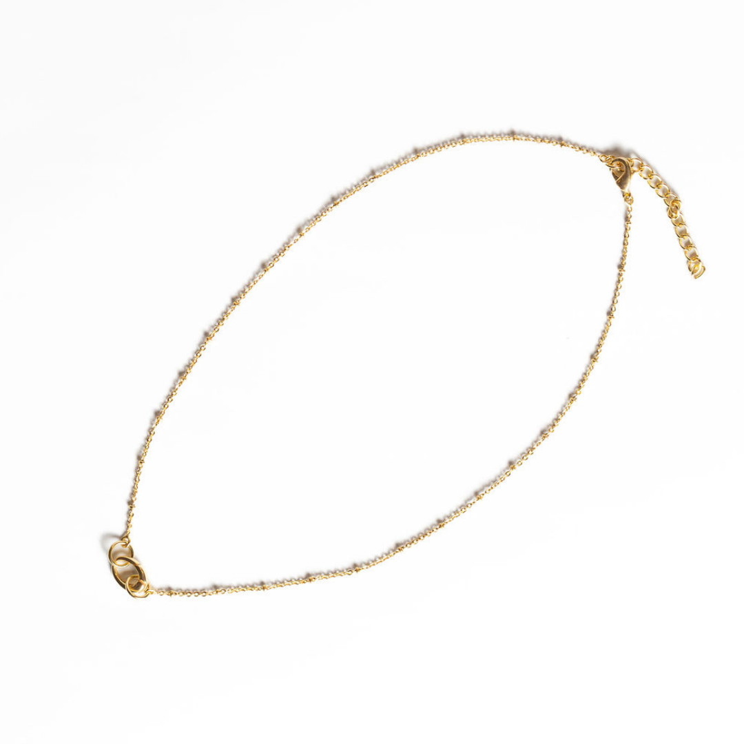 Winton and Wait Dainty Chain w/ Charm Closure Necklace