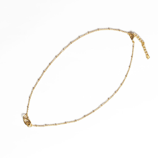 Winton and Wait Dainty Chain w/ Charm Closure Necklace