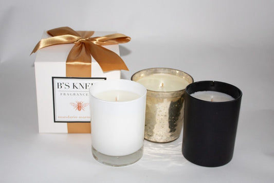 B's Knees 1-Wick White Glass Candle -Mandarin Marmalade