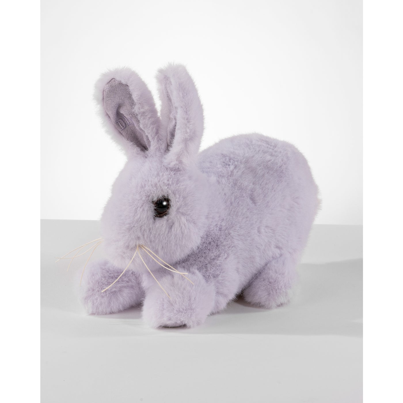 Ditz Designs Baby Rabbit