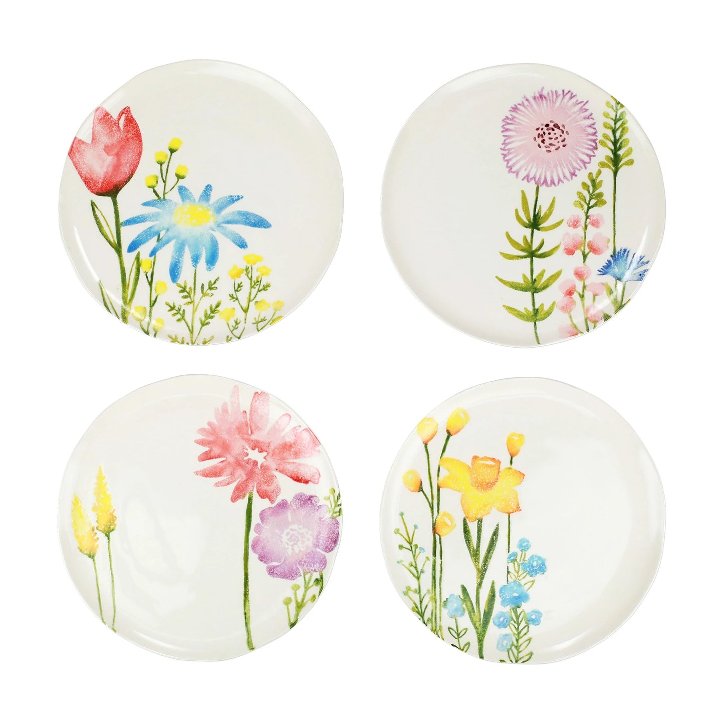 Vietri FDC-9700 Fiori Di Campo Dinner Plates - Set of 4