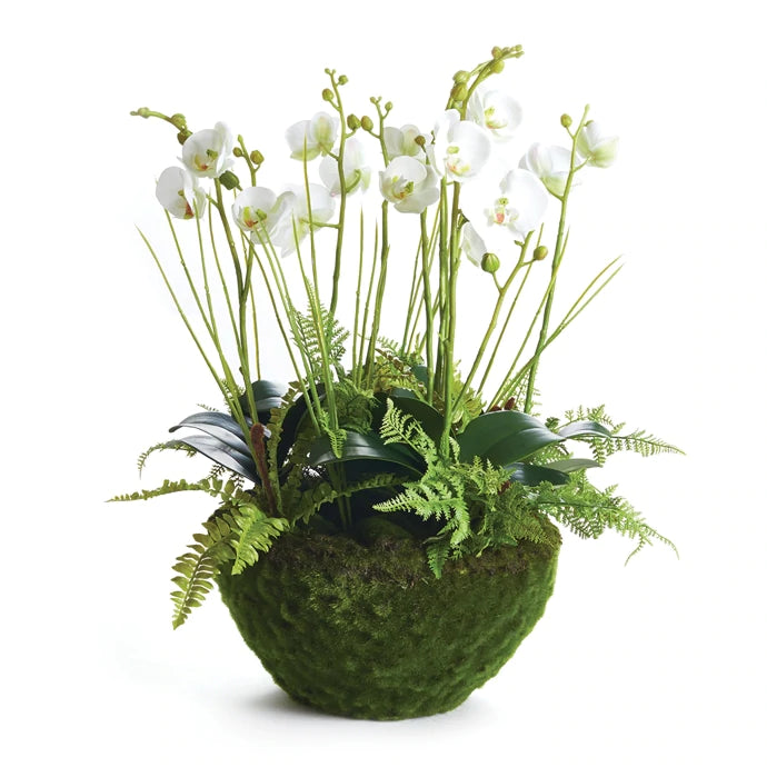 Napa Home & Garden CC412 Phalaenopsis & Fern Drop In 21"